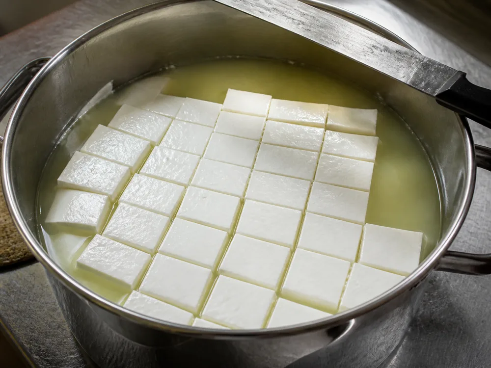Set white curd cut into a grid of cubes sitting in pale whey inside a steel pot - fresh mozzarella | KnowTheCheese