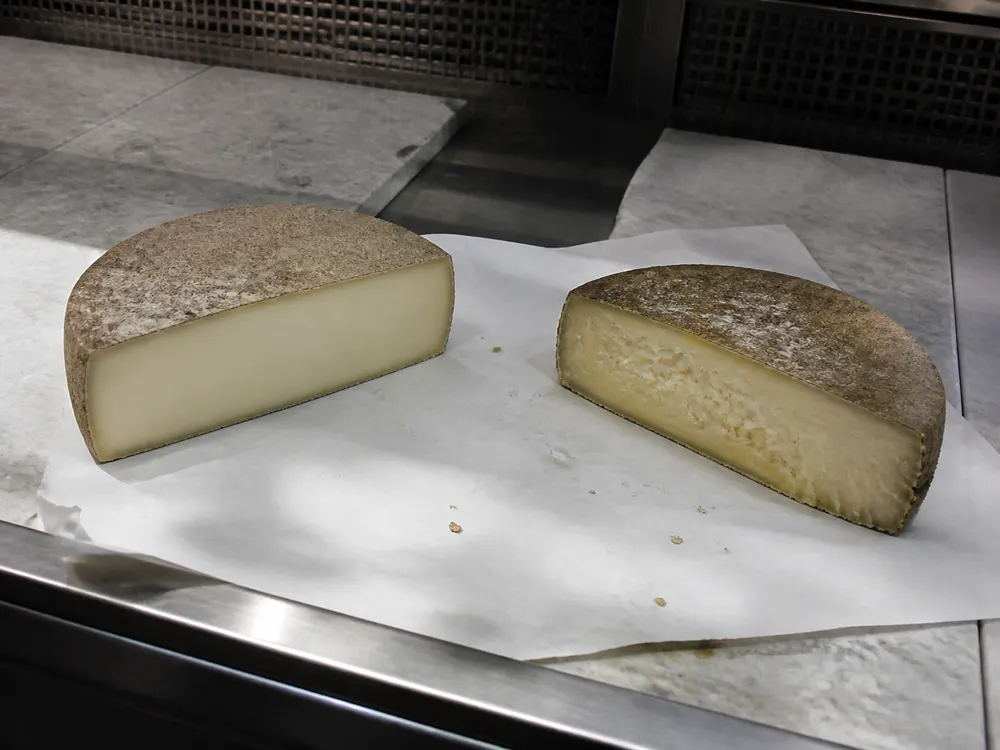 Fresh and tired Belloc-style cut faces in a cheese-shop case - Abbaye de Belloc | KnowTheCheese