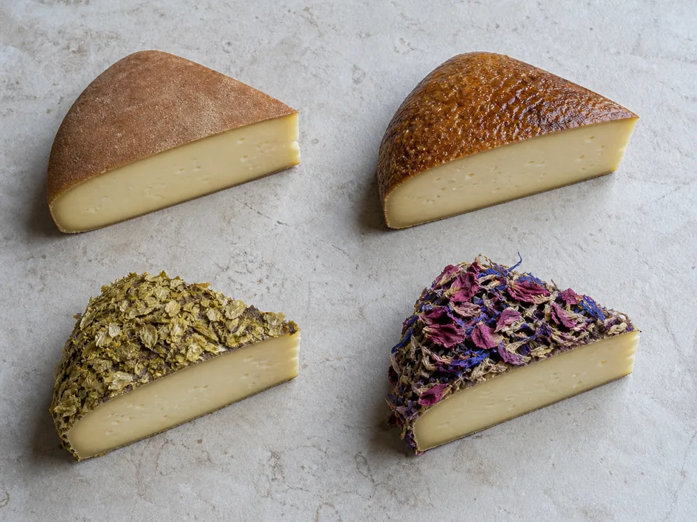 Four Belval-style cheese portions with plain beer hop and flower rind treatments - Abbaye de Belval | KnowTheCheese