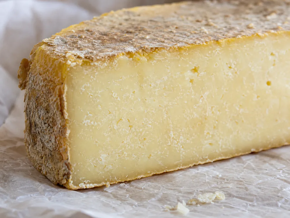 Close view of Abertam-style rind and firm sheep milk paste - Abertam cheese | KnowTheCheese