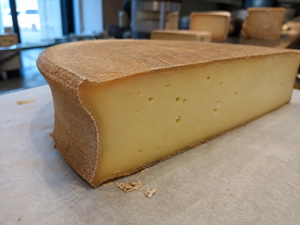 Concave heel and fabric-marked washed rind on an Abondance wedge - Abondance cheese | KnowTheCheese