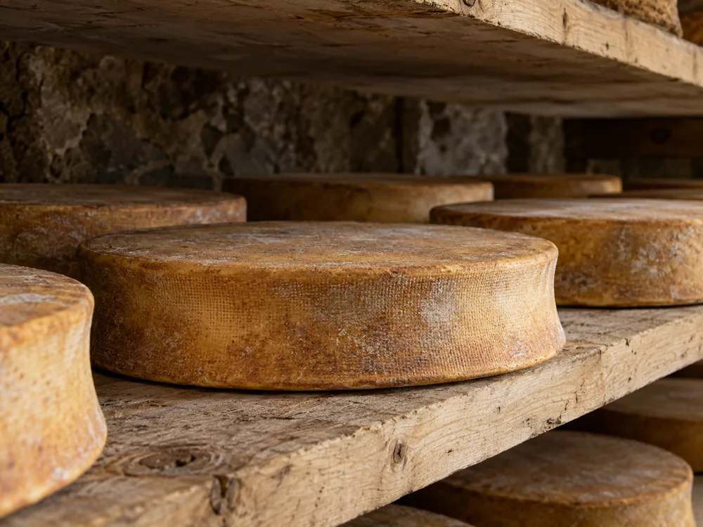 Abondance wheels with concave heels ripening on rough spruce boards in a cellar - Abondance | KnowTheCheese