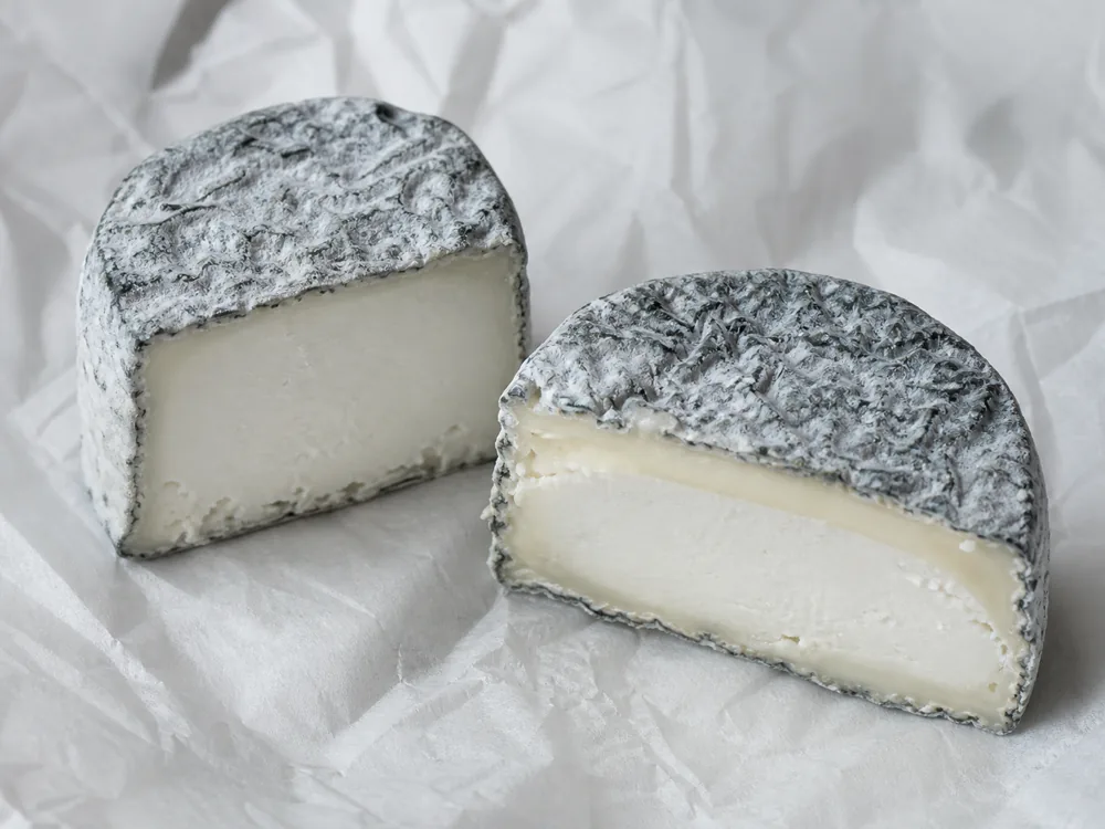 Young and ripe ash-coated Acapella-style goat cheese rounds cut open - Acapella | KnowTheCheese