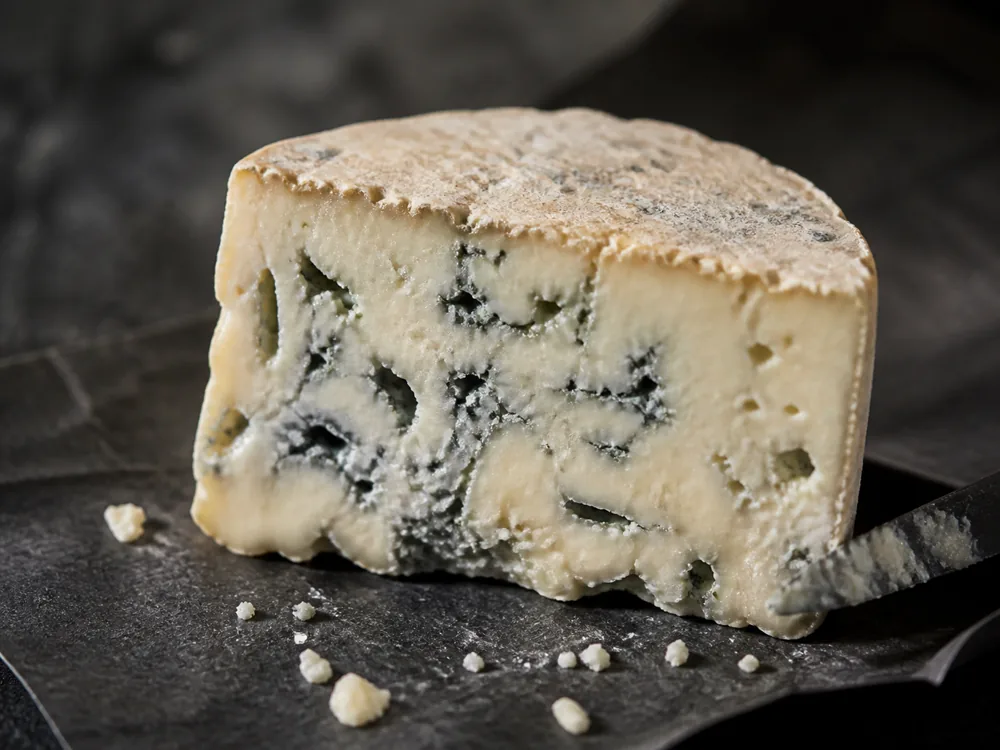 Close detail of Adelost-style blue-grey veins in a creamy pale wedge - Adelost | KnowTheCheese