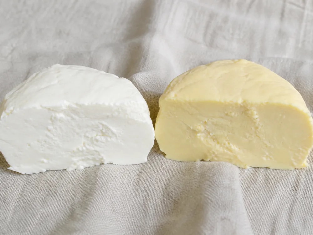 Two identically shaped cheeses cut open, one white and one pale yellow - Ailsa Craig | KnowTheCheese