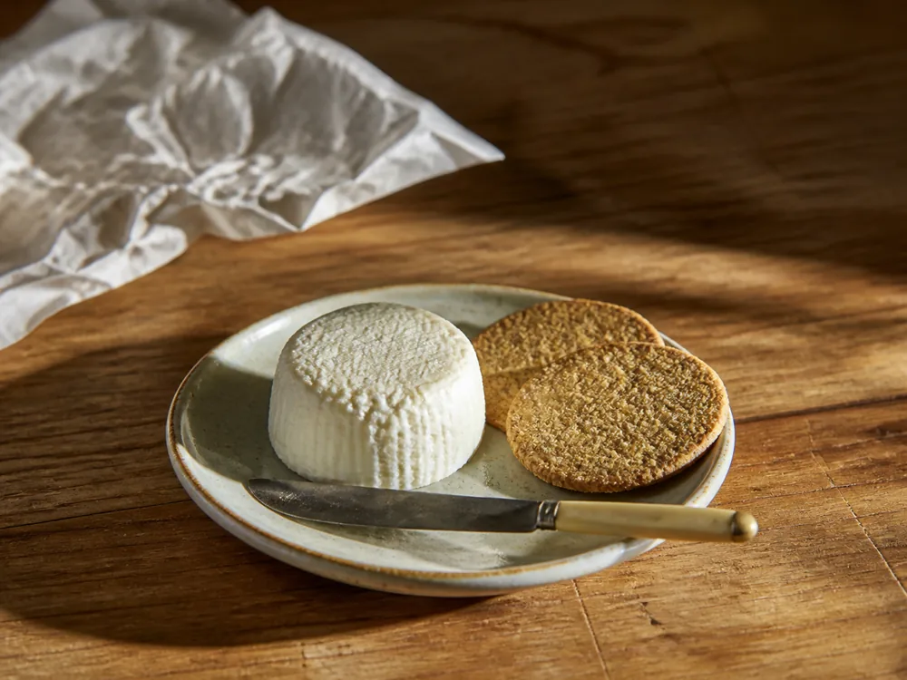 The small unwrapped cheese on a side plate with oatcakes for scale - Ailsa Craig | KnowTheCheese