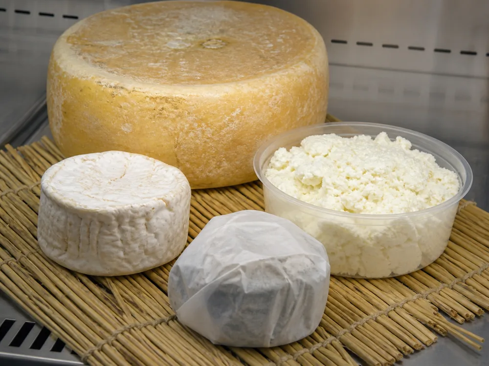 Farm shop chiller shelf with a hard truckle, a bloomy round, fresh cheese and a wrapped parcel - Ailsa Craig | KnowTheCheese