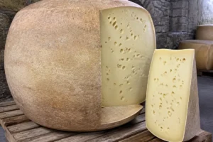Enormous convex-sided wheel with tan natural rind and a cut wedge showing pale paste with large round holes - Allgauer Emmentaler | KnowTheCheese