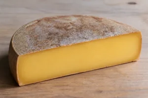 Illustration of a hard cheese half-wheel with a closed straw-coloured paste