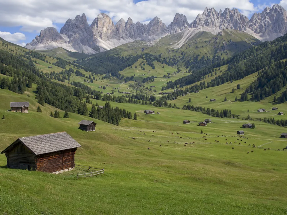 Wide South Tyrolean mountain meadow with scattered hay barns, small separate herds and dolomite peaks behind - Alta Badia | KnowTheCheese
