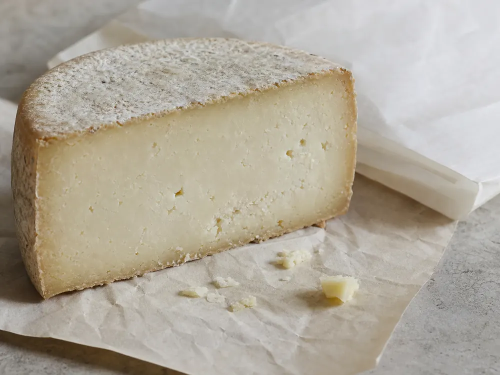 Close cut face of a semi-hard Portuguese sheep or goat cheese - Alverca | KnowTheCheese