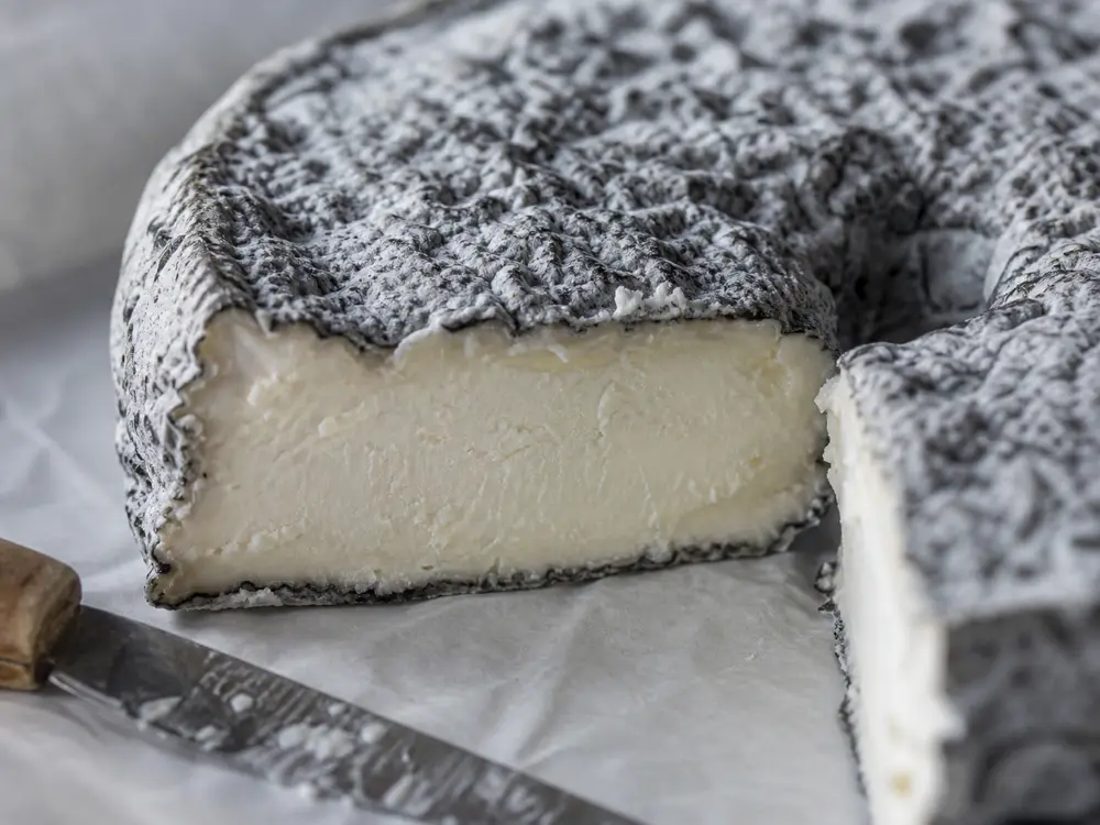 Ash rind and creamy white goat cheese paste detail - Anneau du Vic-Bilh | KnowTheCheese