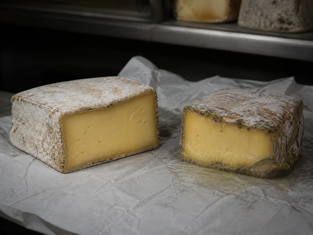 Sound dry rind and wet overripe rind compared on Appalachian-style cheese - Appalachian | KnowTheCheese