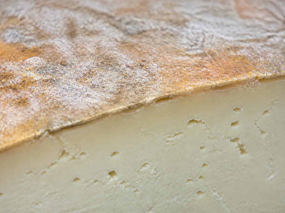 Close view of mottled natural rind against ivory paste with small holes - Ardi Gasna | KnowTheCheese