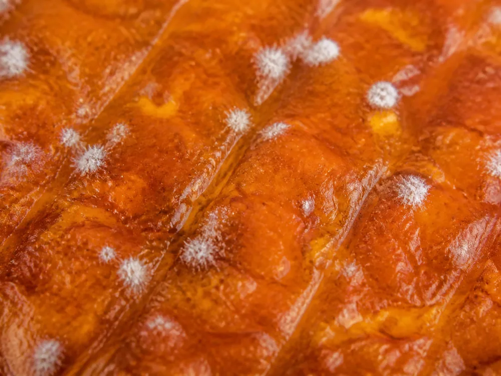 Macro of a wet orange-brown bacterial rind with a few white mould flecks - Ardrahan | KnowTheCheese