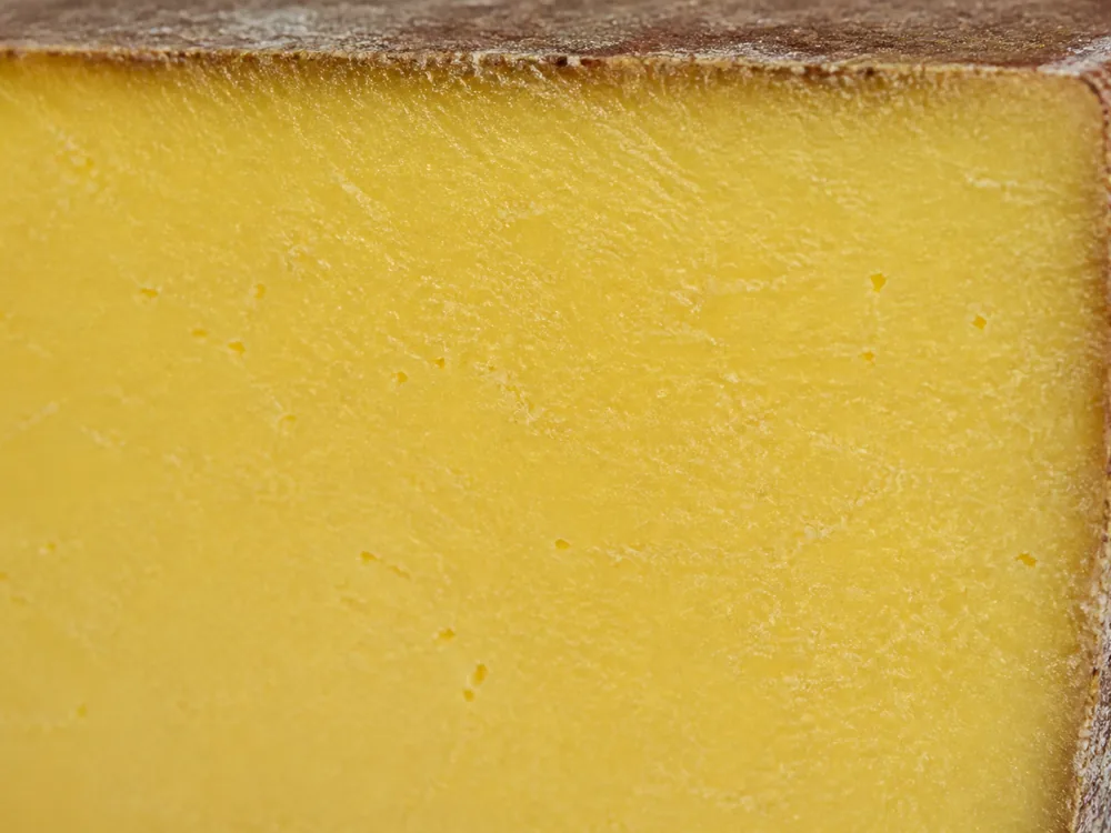 Close detail of a deep yellow dense paste with pinprick eyes and a thin dark rind line - Ascutney Mountain | KnowTheCheese