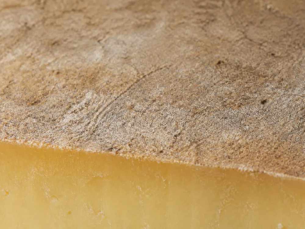 Close view of a dry grey-brown natural rind above the pale yellow paste it protects - Ascutney Mountain | KnowTheCheese