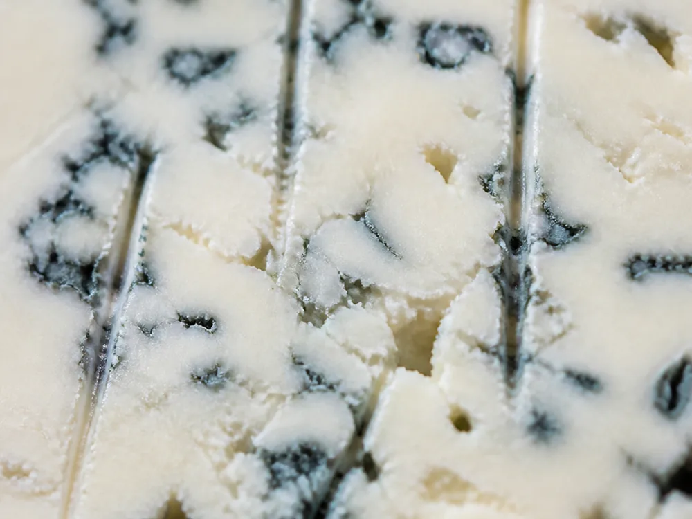 Macro of the cut face showing irregular grey-blue veining and fine piercing channels - Asher Blue | KnowTheCheese