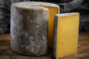 Cloth-bound cheddar wheel with a cut wedge showing deep golden paste - Avonlea Clothbound Cheddar | KnowTheCheese