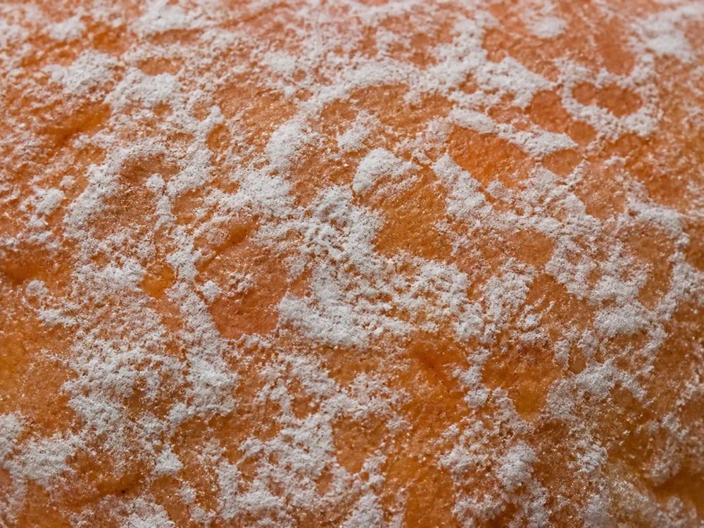 Macro of a warm terracotta washed rind with a fine powdery white bloom lying over it in patches - Baluchon | KnowTheCheese