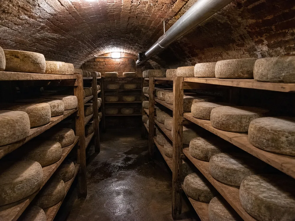 Dim brick cheese cave with wooden shelves of natural-rind wheels and a service pipe crossing the ceiling - Barden Blue | KnowTheCheese