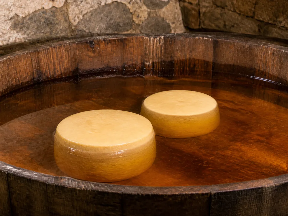Shallow wooden vat of amber sweet wine with two pale cheese wheels partly submerged and the wine line visible - Basajo | KnowTheCheese