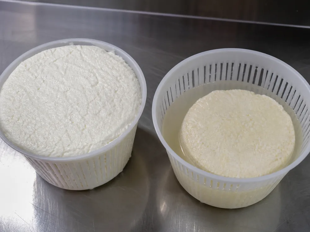 Fresh bright white cheese beside a yellowed shrunken one in cloudy liquid - Basket Cheese | KnowTheCheese