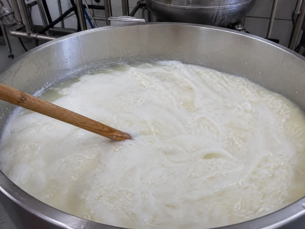 Wide dairy vat of warm milk being stirred vigorously with a long wooden paddle, whey separating pale at the edges - Batzos | KnowTheCheese