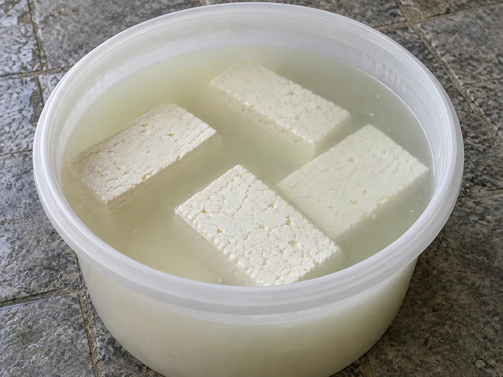 Four white cheese blocks submerged in pale brine inside a plain plastic tub - Batzos | KnowTheCheese
