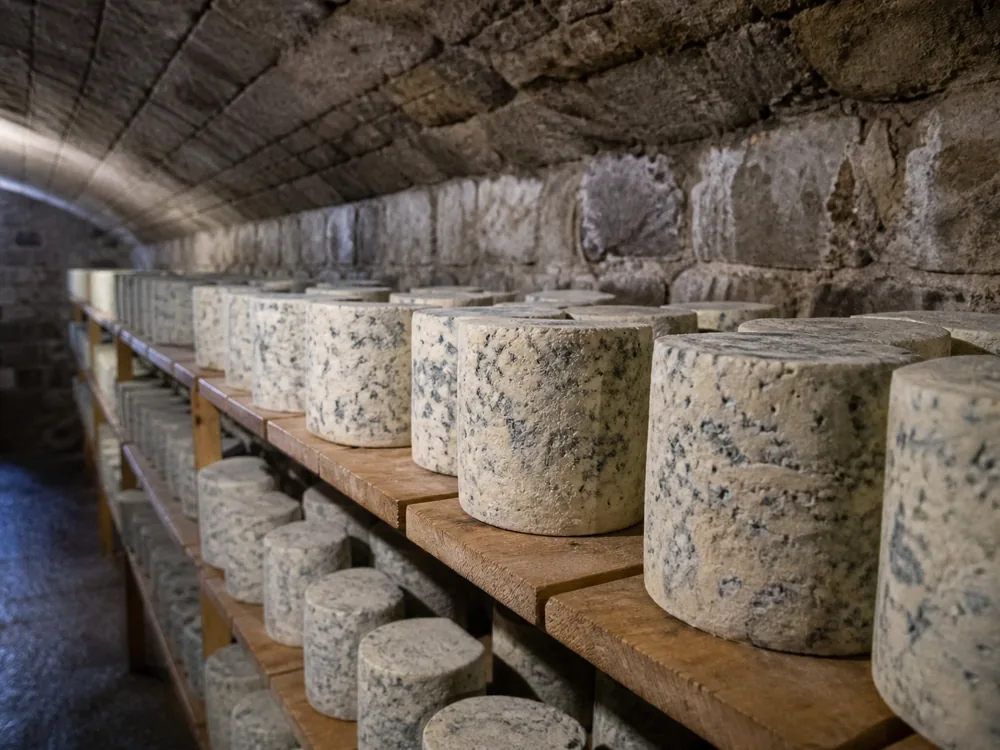 Stone-walled subterranean vault with cylindrical blue cheeses standing in rows on wooden shelving - Bayley Hazen Blue | KnowTheCheese