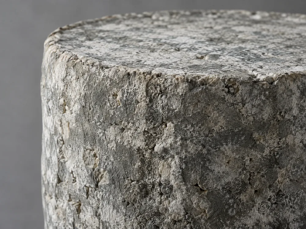 Dry mottled grey natural rind on a cylindrical blue cheese