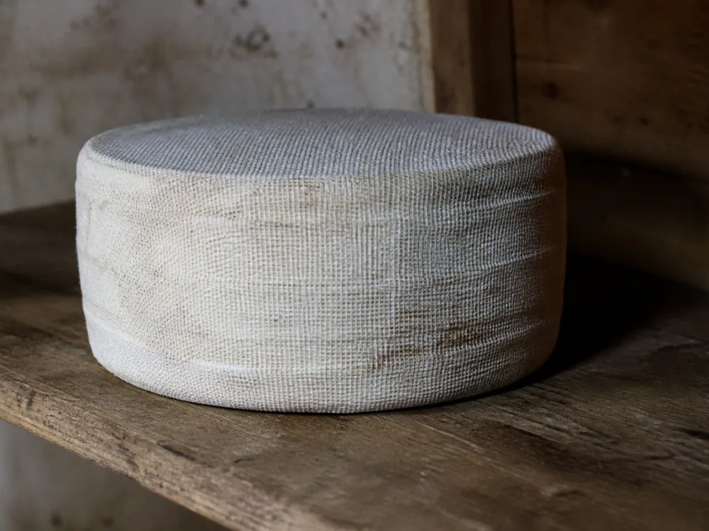 Squat cheddar wheel wrapped in plain cream cotton bandage on a wooden shelf in a small farm dairy - Baylough | KnowTheCheese