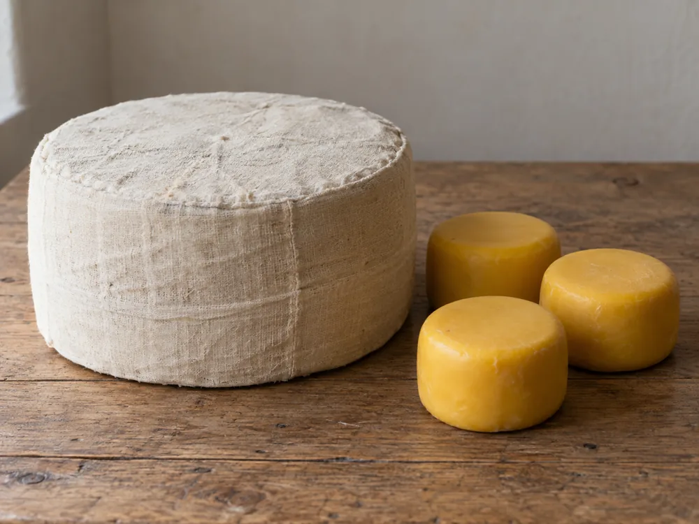 Large cloth-wrapped cheese wheel beside three small round cheeses sealed in yellow wax - Baylough | KnowTheCheese