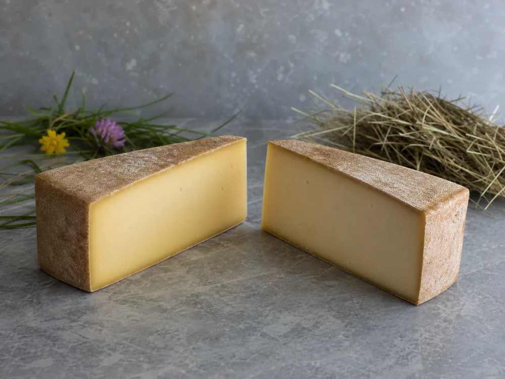Deeper yellow summer Beaufort beside paler winter Beaufort - Beaufort cheese | KnowTheCheese