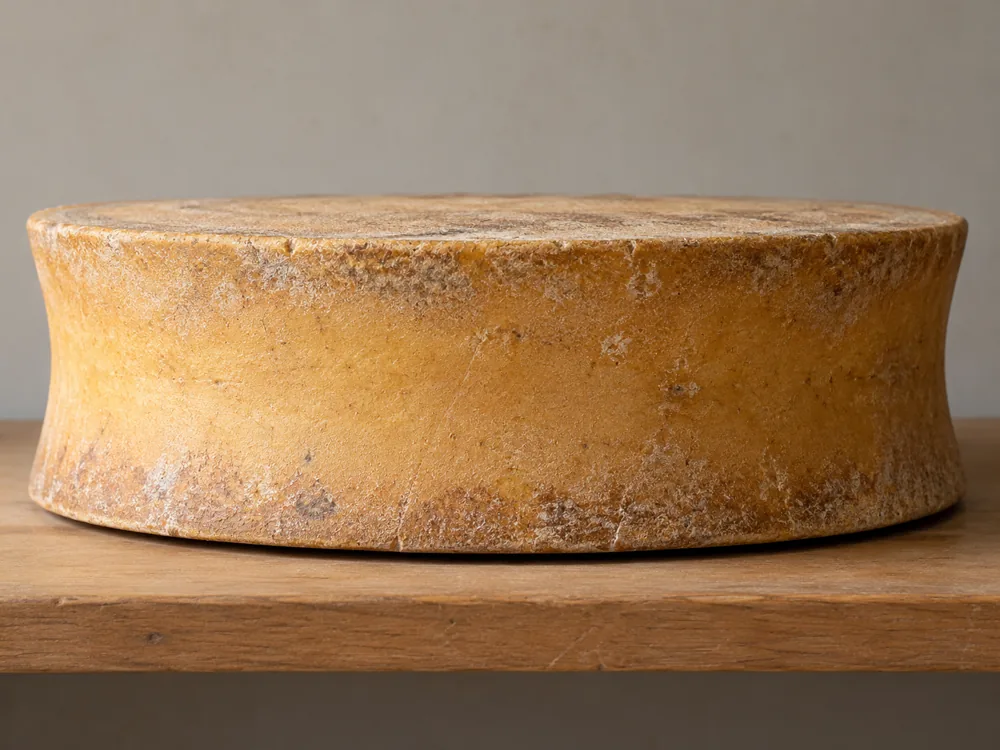 Side of a whole Beaufort wheel curving inward between its top and bottom edges - Beaufort cheese | KnowTheCheese