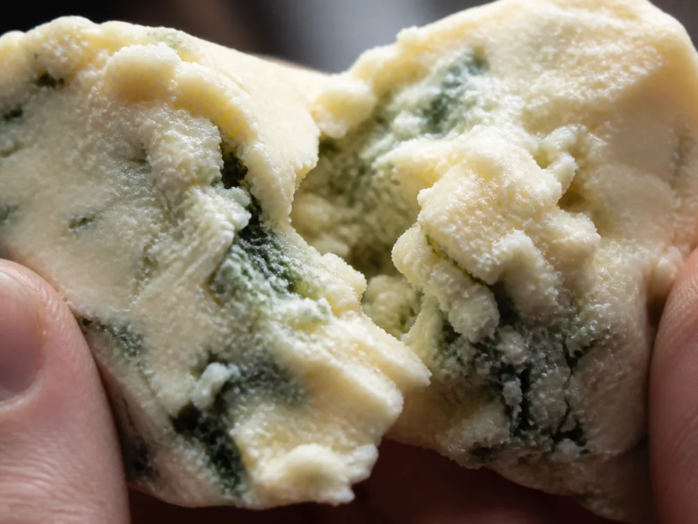 Hand-broken piece showing pale crumbly paste with irregular blue-green veining - Beenleigh Blue | KnowTheCheese