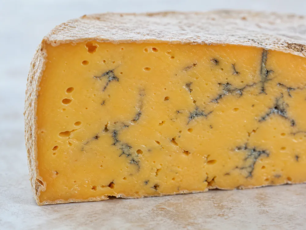 Fine blue-gray veins crossing the orange paste of Blacksticks Blue cheese