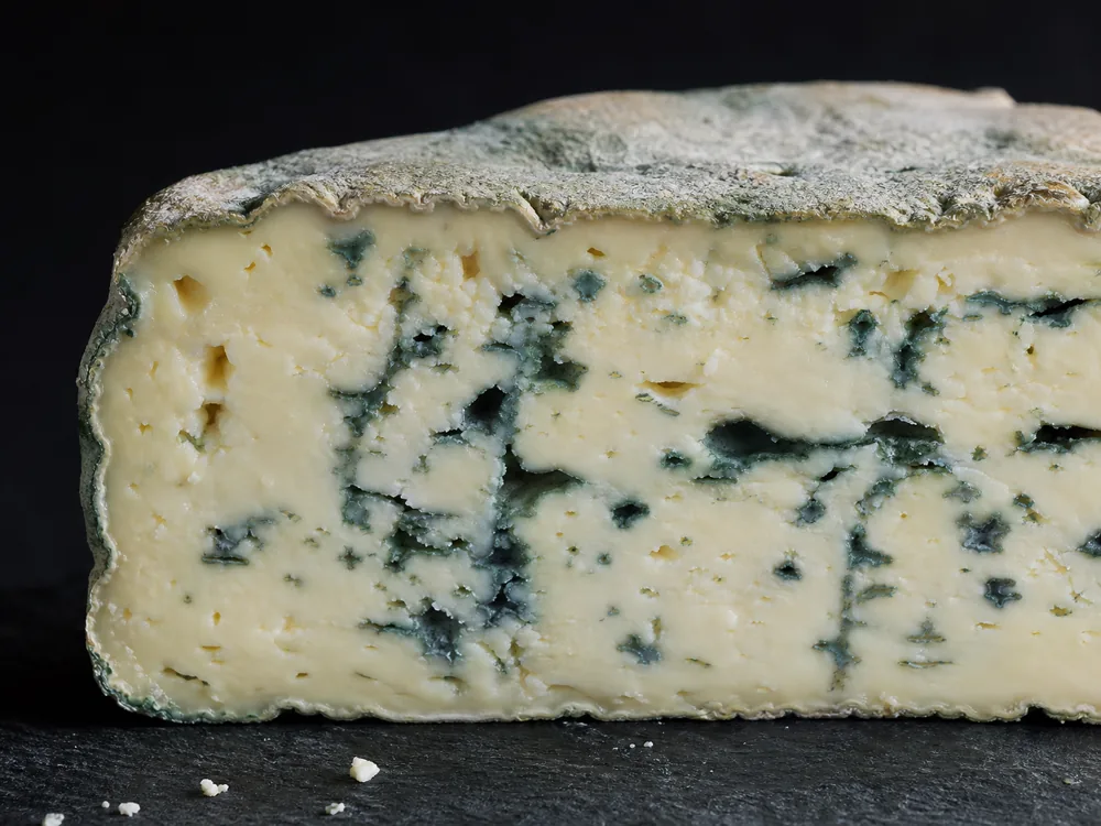 Moist Bleu d'Auvergne paste with blue-green marbling and thin rind - Bleu d'Auvergne | KnowTheCheese