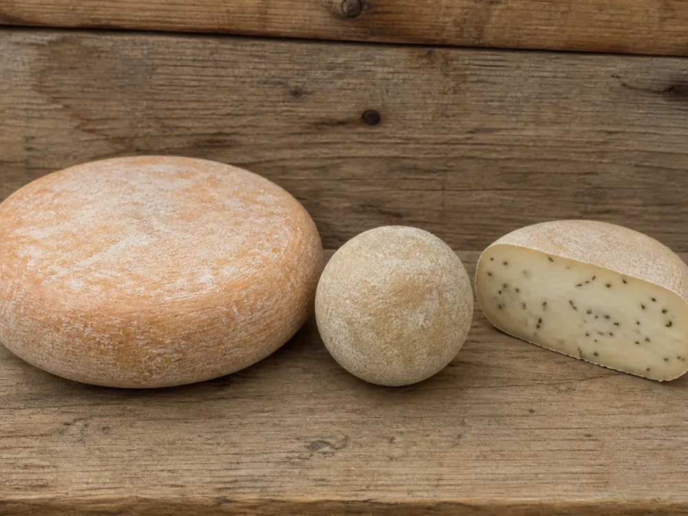 Three Dutch farmhouse cheeses side by side, one wide and flat, one a small round ball, one paler with cumin seeds visible through the cut face - Boerenkaas | KnowTheCheese
