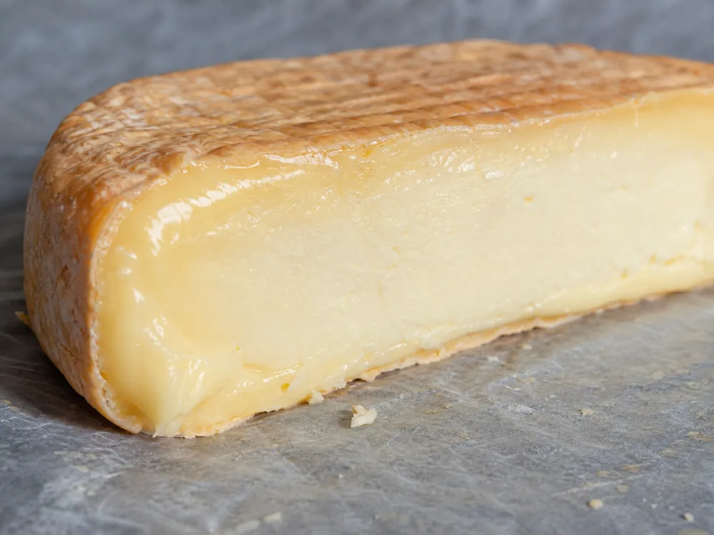 Firm outer paste around the custard-like center of a ripe washed-rind wheel - Bossa cheese | KnowTheCheese