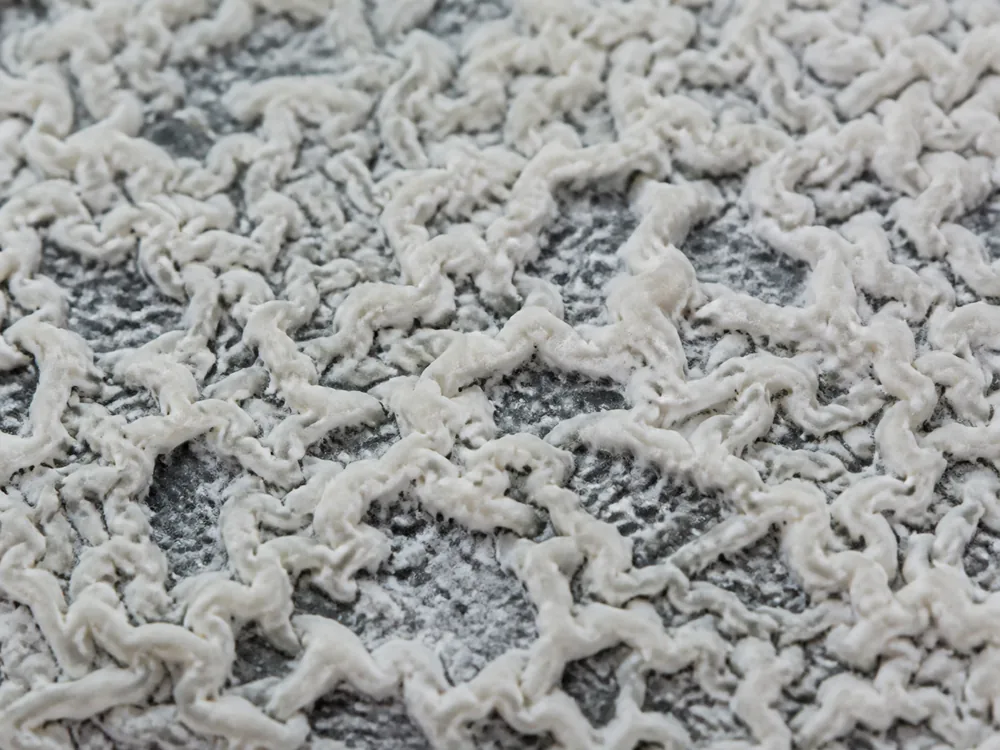 Extreme macro of an ashed goat cheese surface where soft white mould has grown thinly enough to show the dark grey ash beneath - Bosworth | KnowTheCheese