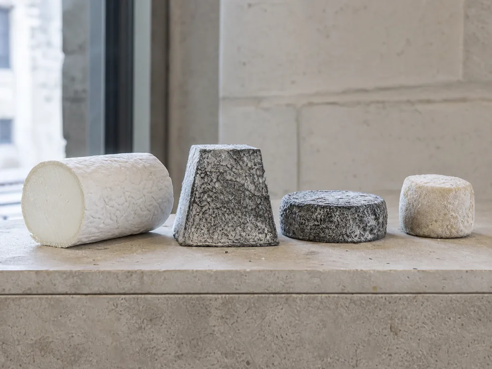 Bucheron-style log beside Loire goat cheese pyramid, puck, and drum shapes - Bucheron cheese | KnowTheCheese