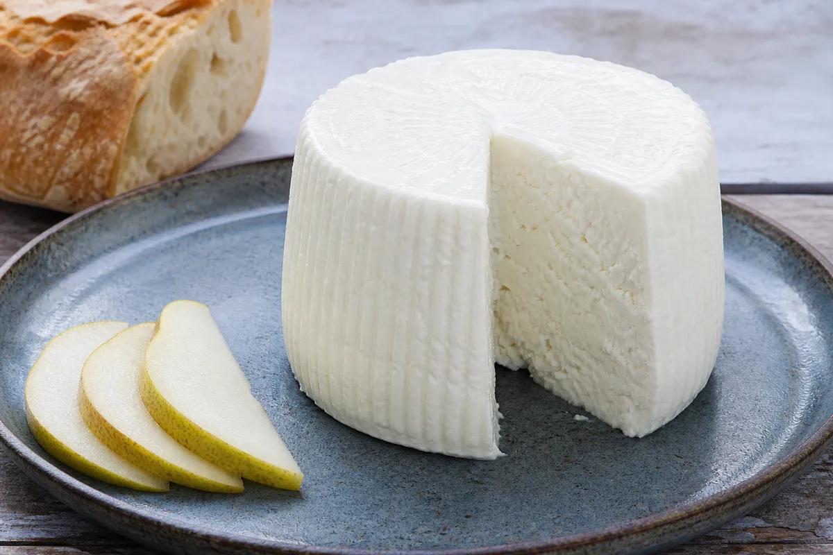White cylindrical Burgos cheese with a moist fresh cut face - Burgos Cheese | KnowTheCheese