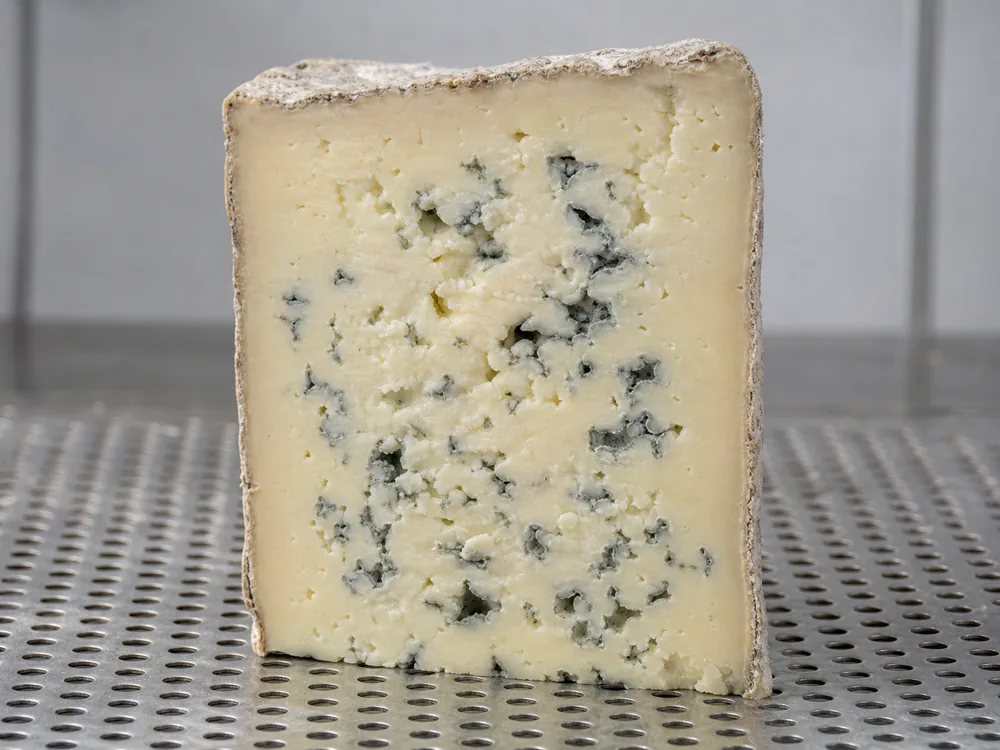 Buttermilk Blue cross section showing a creamy center and firmer edge