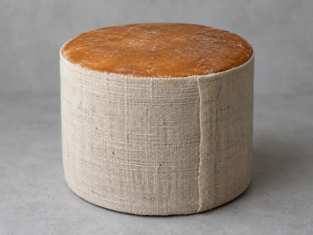 Cylinder of cheese with its sides wrapped in cloth and a russet top - Buxton Blue | KnowTheCheese