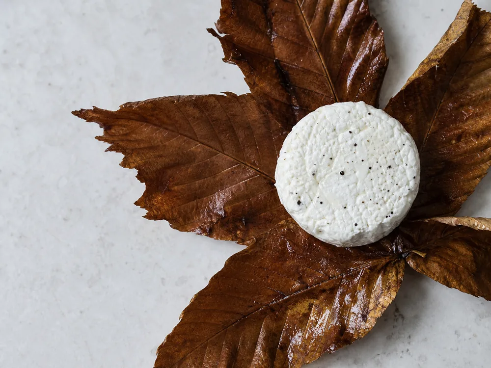 Chestnut leaves unfolded around a small peppered goat cheese disc | KnowTheCheese