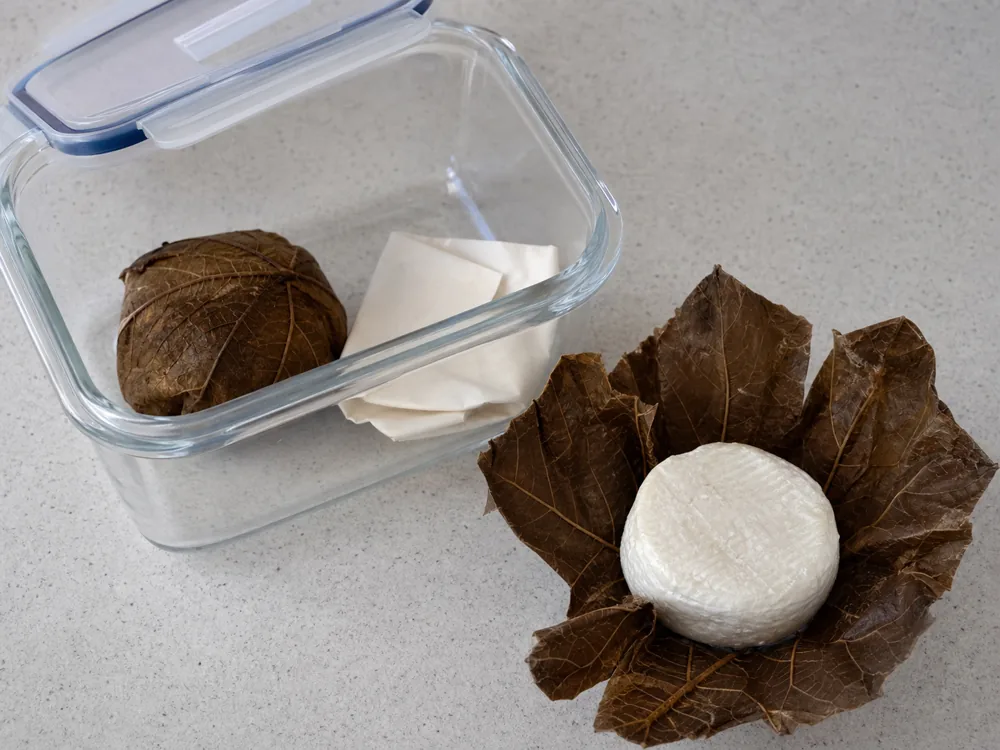 Leaf-wrapped small cheese stored in a shallow container with cheese paper | KnowTheCheese