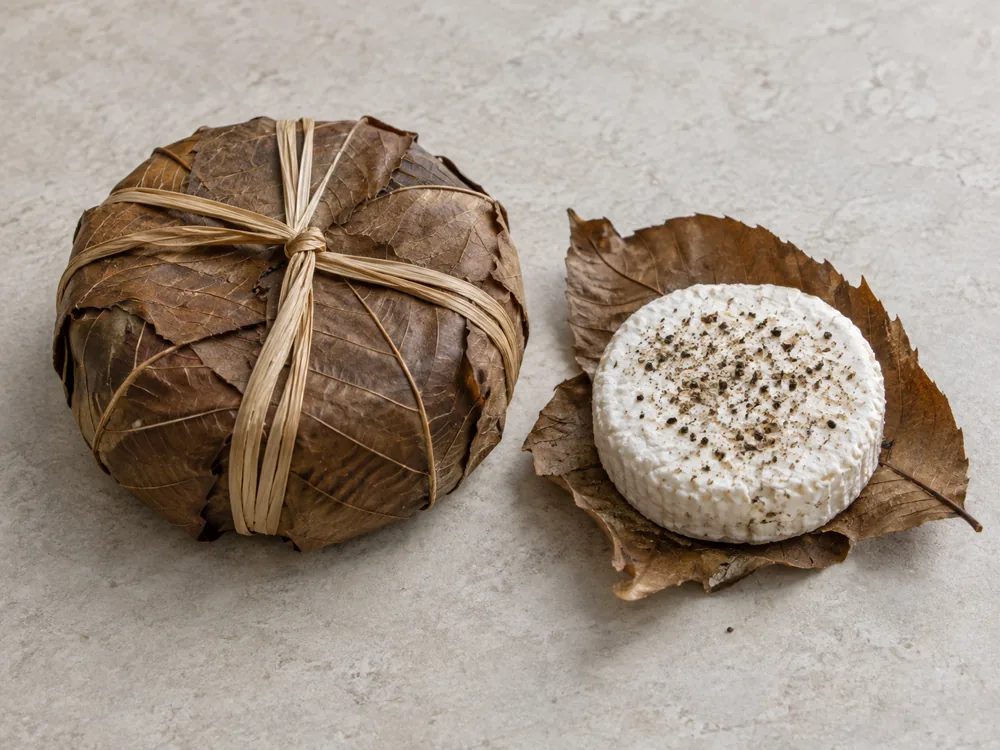 Raffia-tied leaf parcel beside a peppered goat cheese disc on a chestnut leaf - Cabécou Feuille d'Armagnac | KnowTheCheese