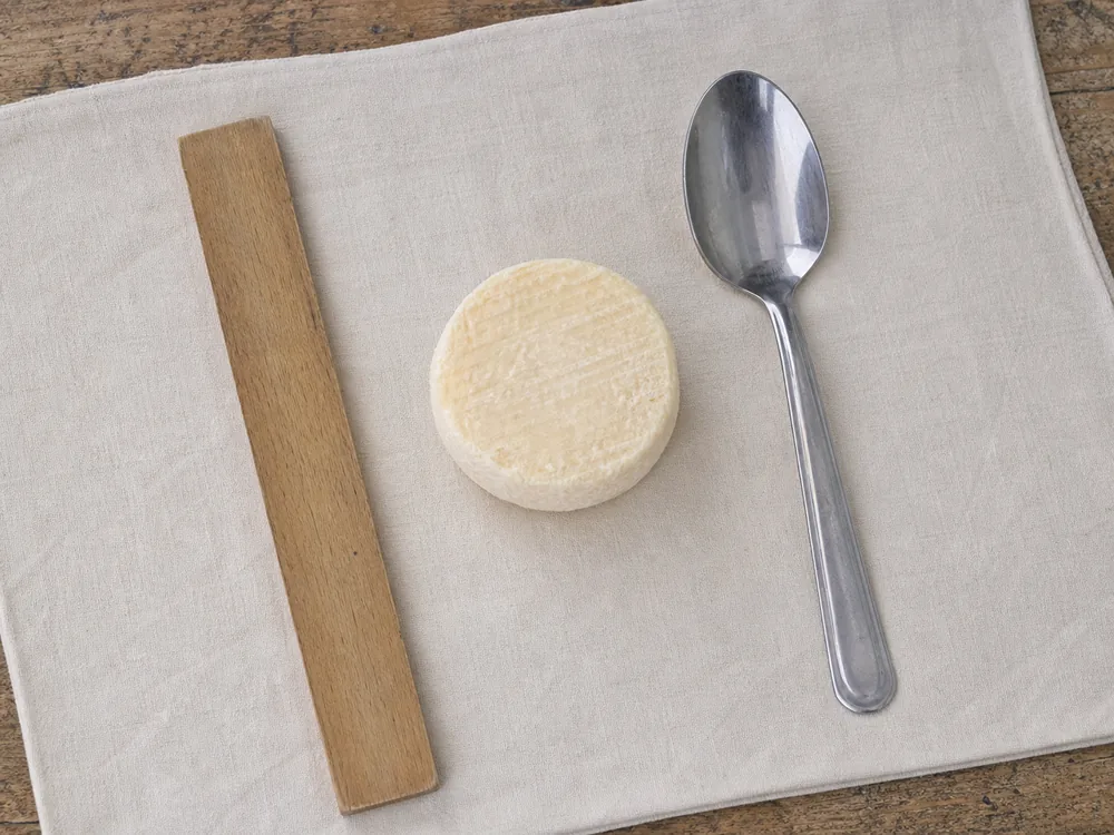 Small French goat cheese discs varying in size and surface - Cabécou | KnowTheCheese