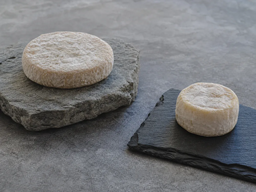 Small pale-yellow goat cheese disc shown beside a fork for scale - Cabécou du Périgord | KnowTheCheese